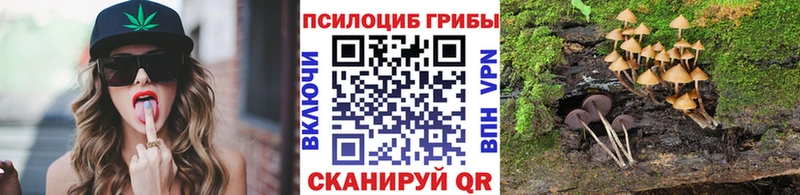 Галлюциногенные грибы мицелий Чайковский