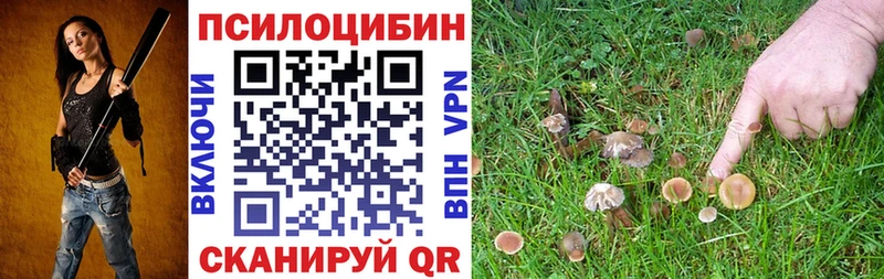 купить  сайты  Чайковский  Псилоцибиновые грибы прущие грибы 