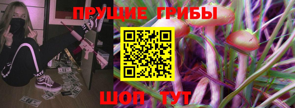 Чайковский  Галлюциногенные грибы прущие грибы  Галлюциногенные грибы Cubensis  Вход с VPN 